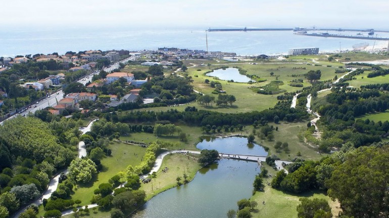 cropped-Parque-da-Cidade-Porto1