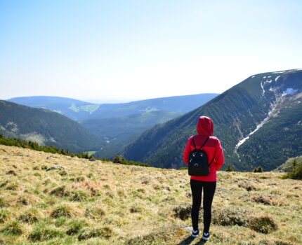 W drodze na Śnieżkę 1602 m n.p.m.