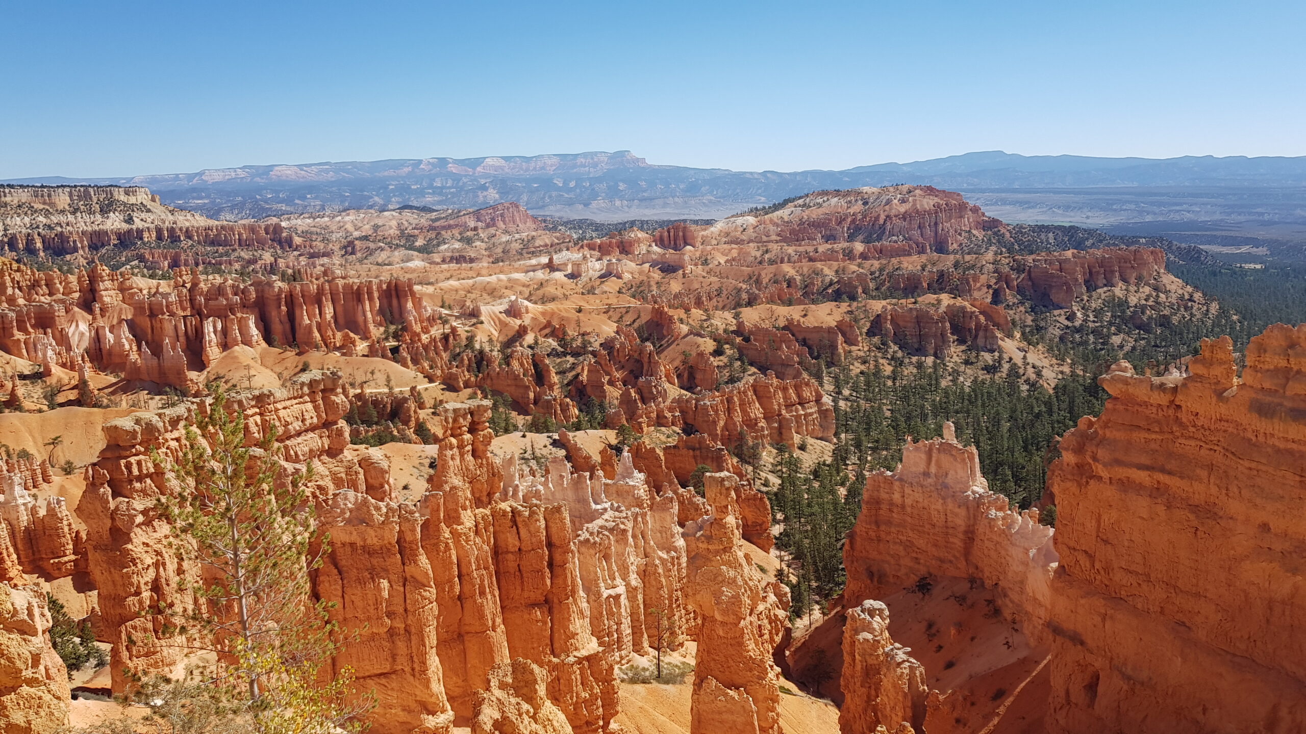 Bryce Canyon