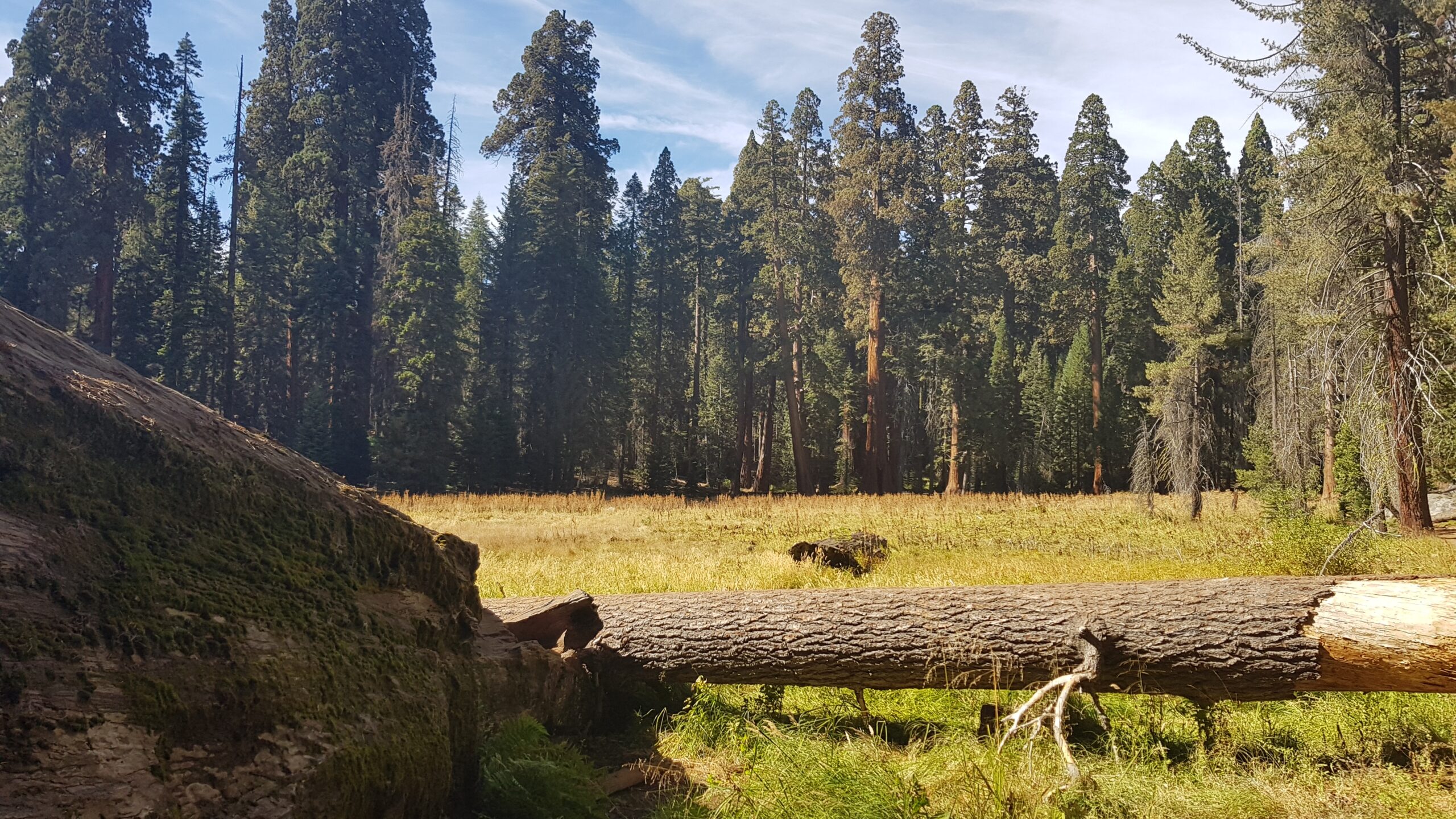 Sequoia National Park