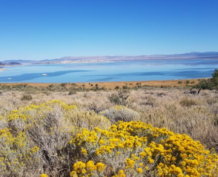 Mono Lake