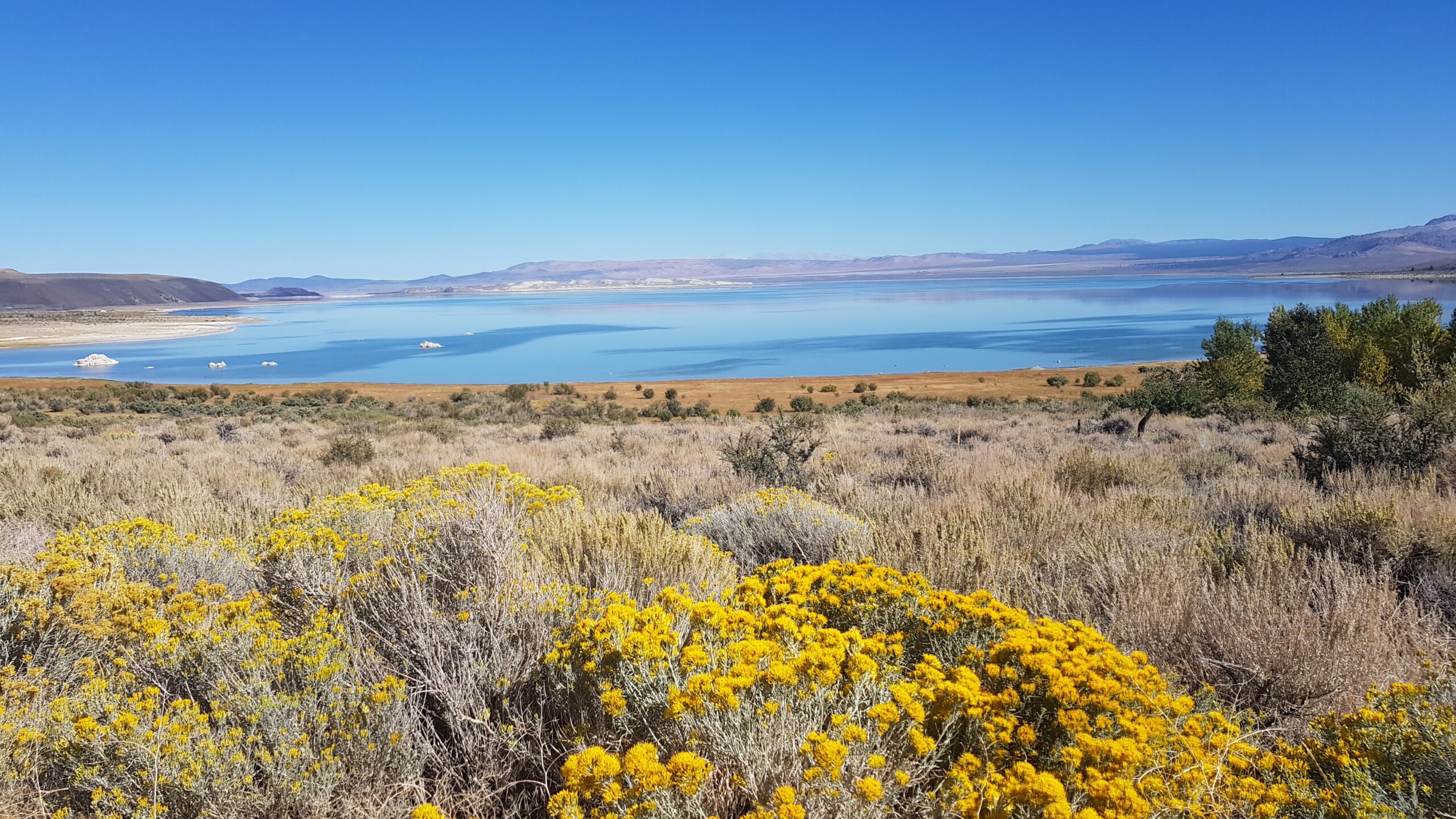 Mono Lake