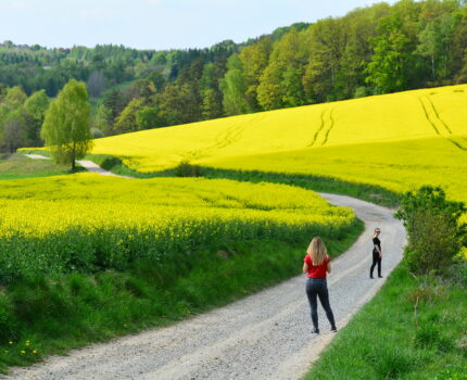 Dolina Będkowska i okolice