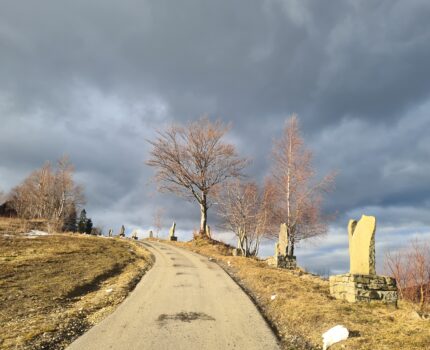 Modyń 1029 m n.p.m.