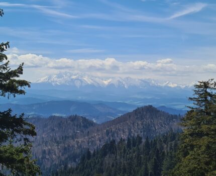 Przechyba (1173 m n.p.m.)