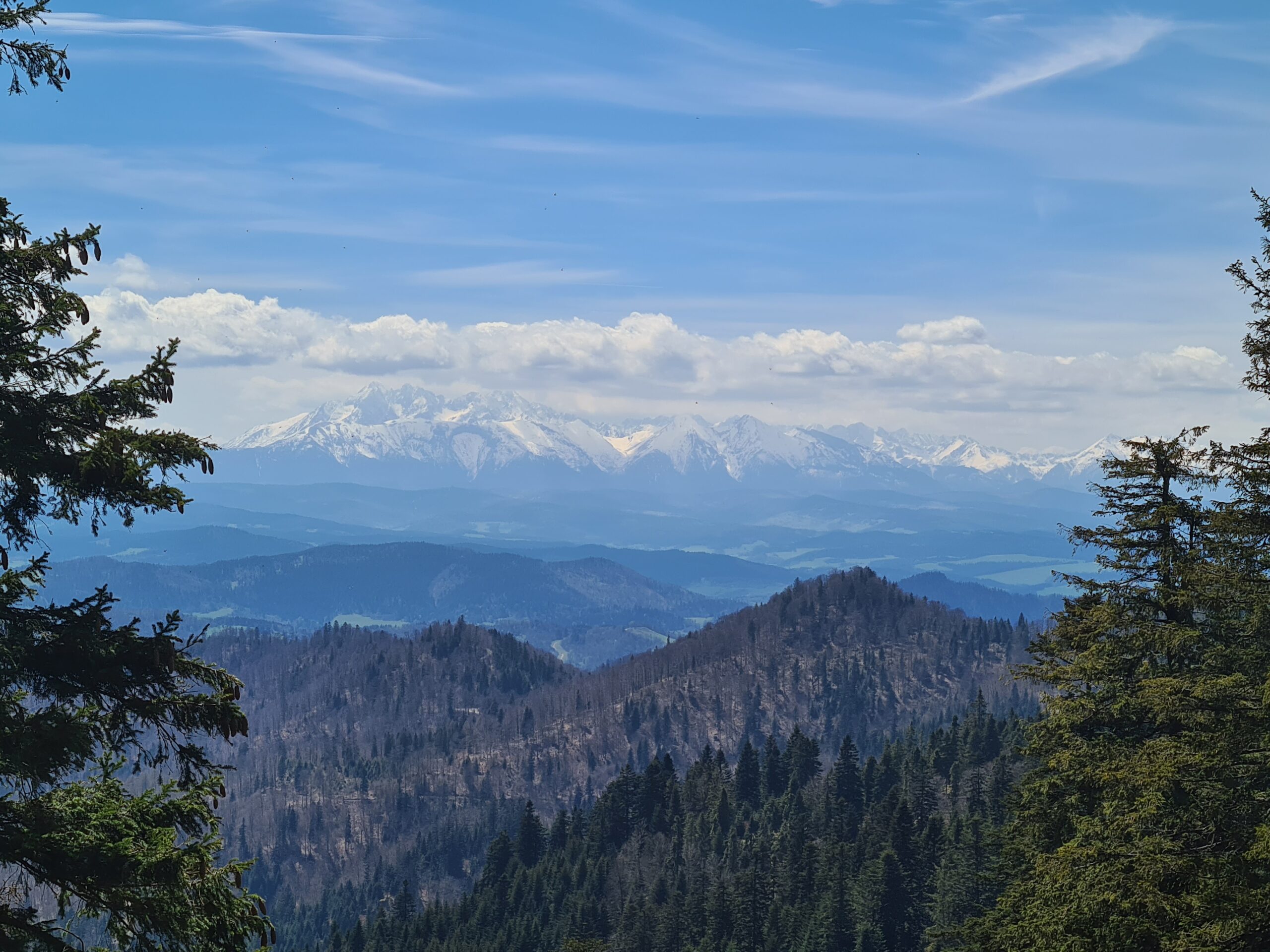 Przechyba (1173 m n.p.m.)