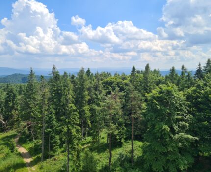 Eliaszówka 1023 m n.p.m.