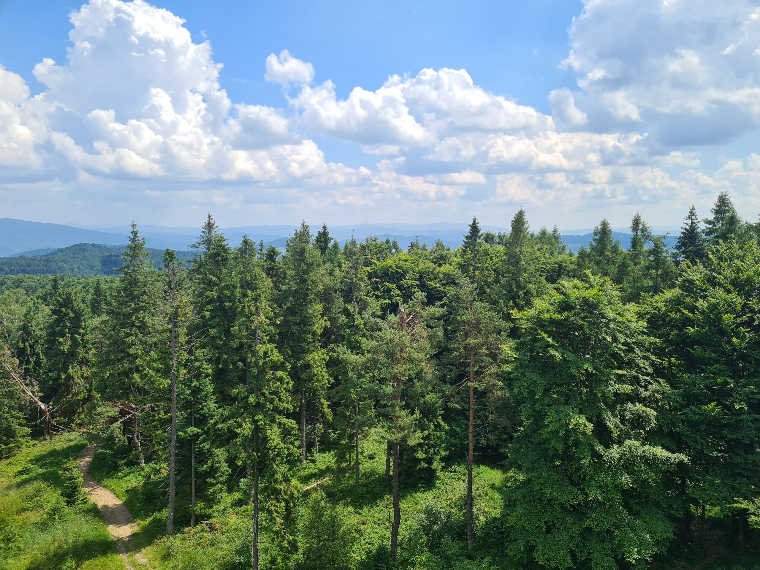 Eliaszówka 1023 m n.p.m.