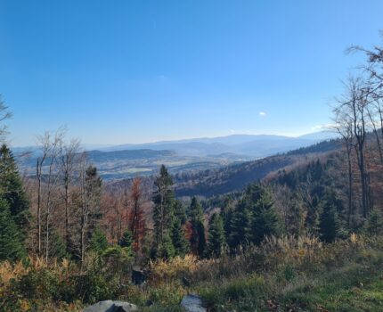 Leskowiec (922 m n.p.m.)