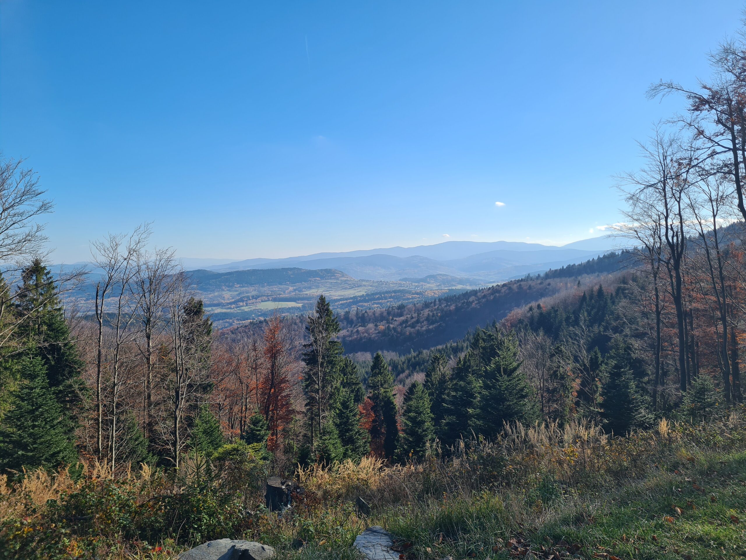 Leskowiec (922 m n.p.m.)
